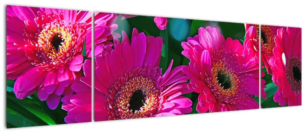 Obraz - kwiaty (170x50 cm)