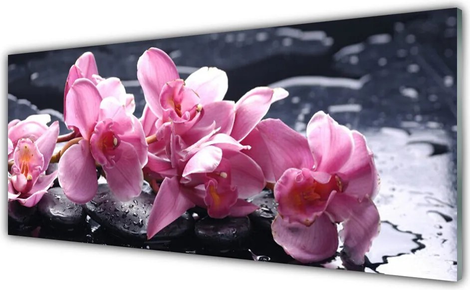 Panel Kuchenny Różowa Orchidea W Detalu