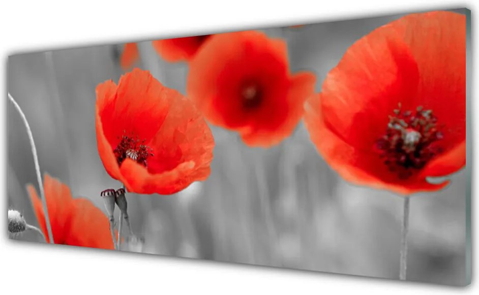 Panel Szklany do Kuchni Czerwone Maki w Polu