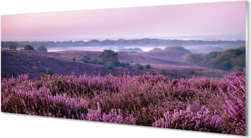 Szklany Panel Natura: Pole Wrzosów