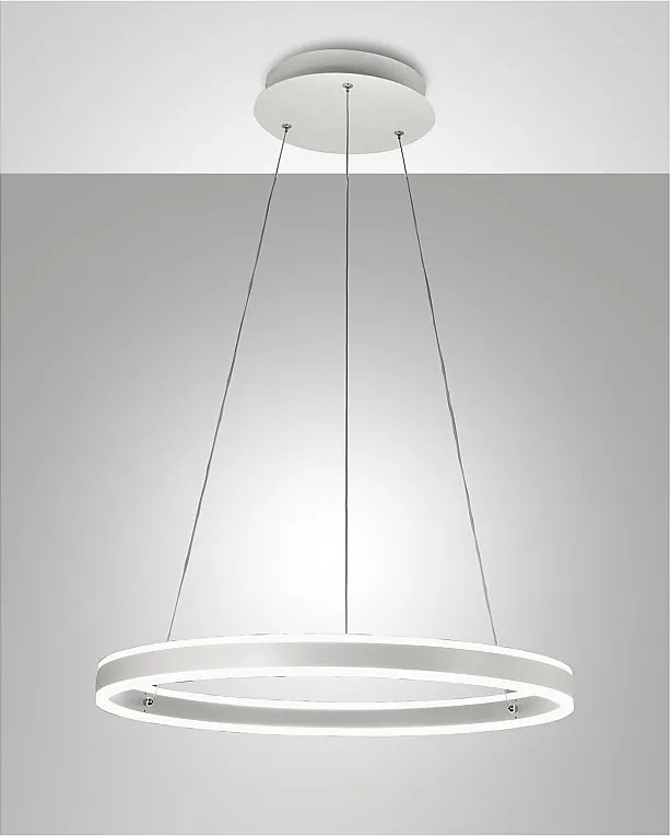 Lampa wisząca LED Palau 60W 3000K, ściemnialna, Ø60cm, biała - nowoczesny design z metalu i metakrylanu