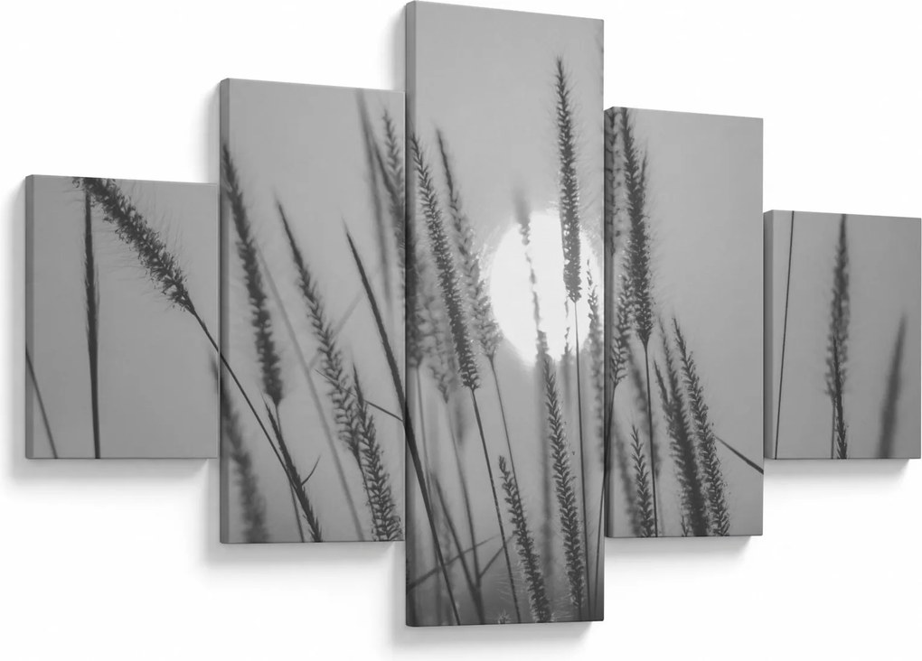 Obraz - Łąka o zachodzie słońca (125x70 cm)