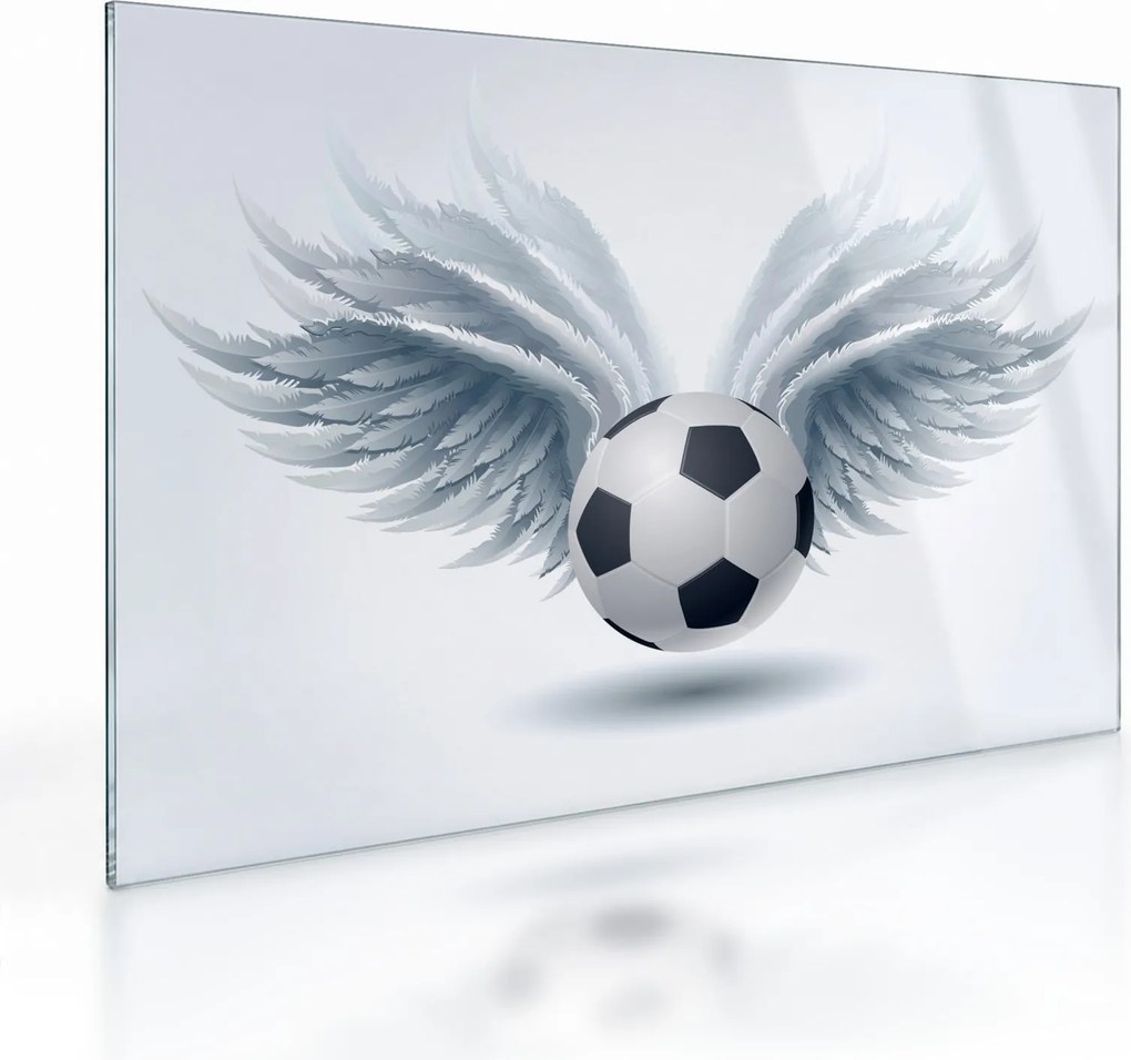 Obraz na szkle - Balon ze skrzydłami (70x50 cm)