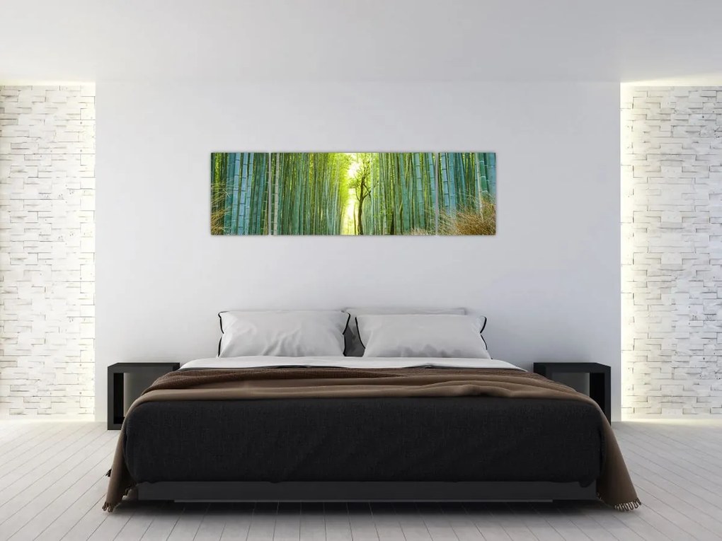 Obraz - Las bambusowy (170x50 cm)