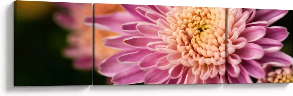 Szczegółowy obraz kwiatu (170x50 cm)