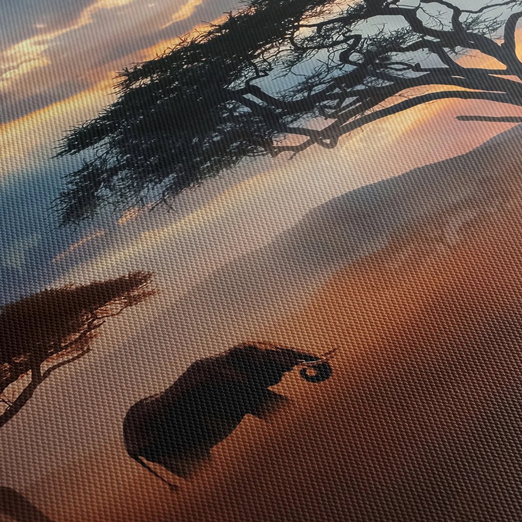 Obraz - Park Narodowy Serengeti, Tanzania, Afryka (125x70 cm)