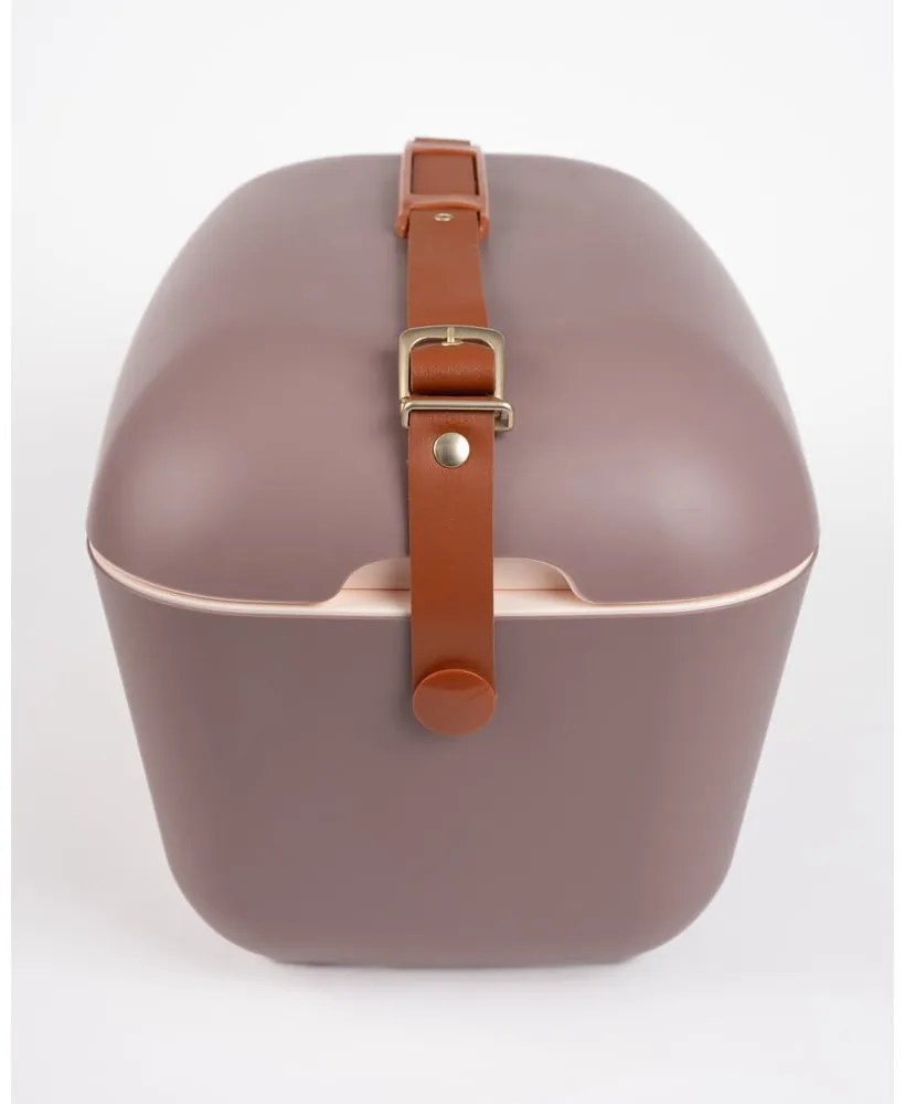Brązowy pojemnik chłodzący 12 l Classic Gold – Polarbox