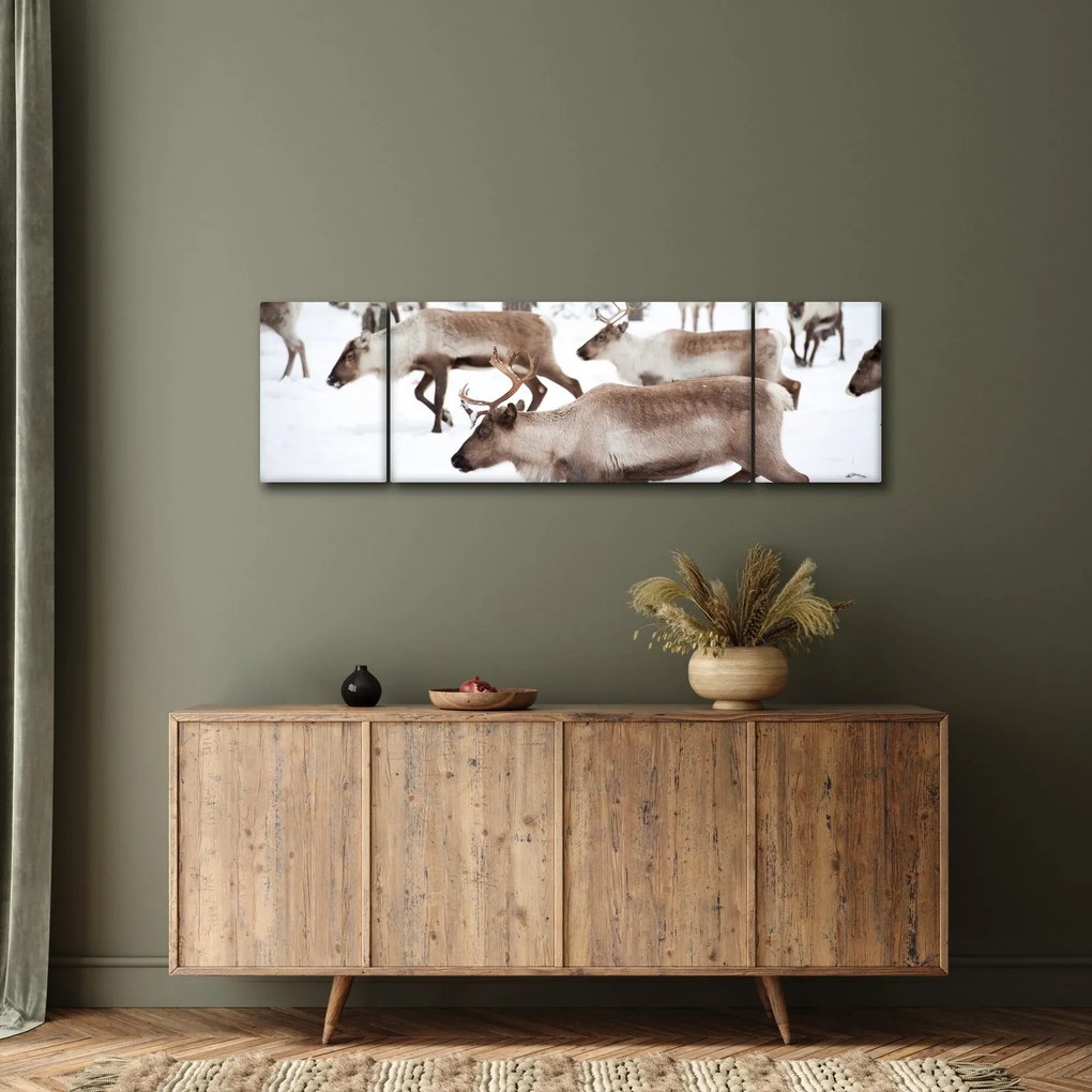 Obraz - Renifer (170x50 cm)