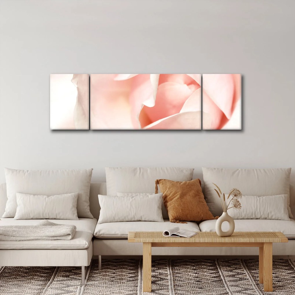 Obraz - Róża (170x50 cm)