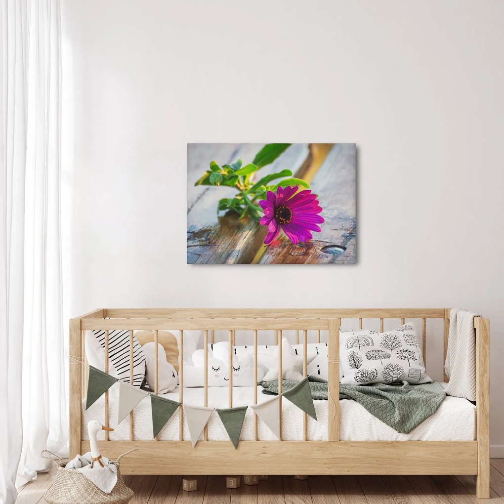 Obraz ciętego kwiatu (70x50 cm)