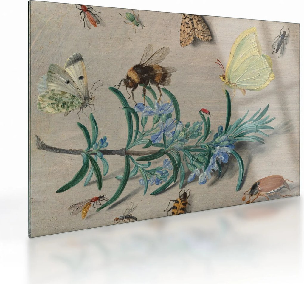 Obraz na szkle - Jan van Kessel the Elder, Insects and a Sprig of Rosemary, reprodukcje (70x50 cm)