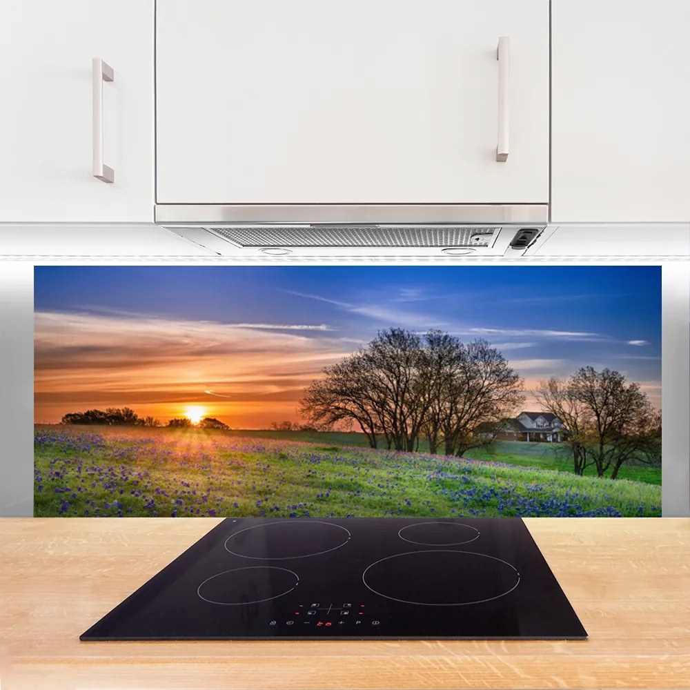 Panel Szklany Słoneczna Polana o Poranku