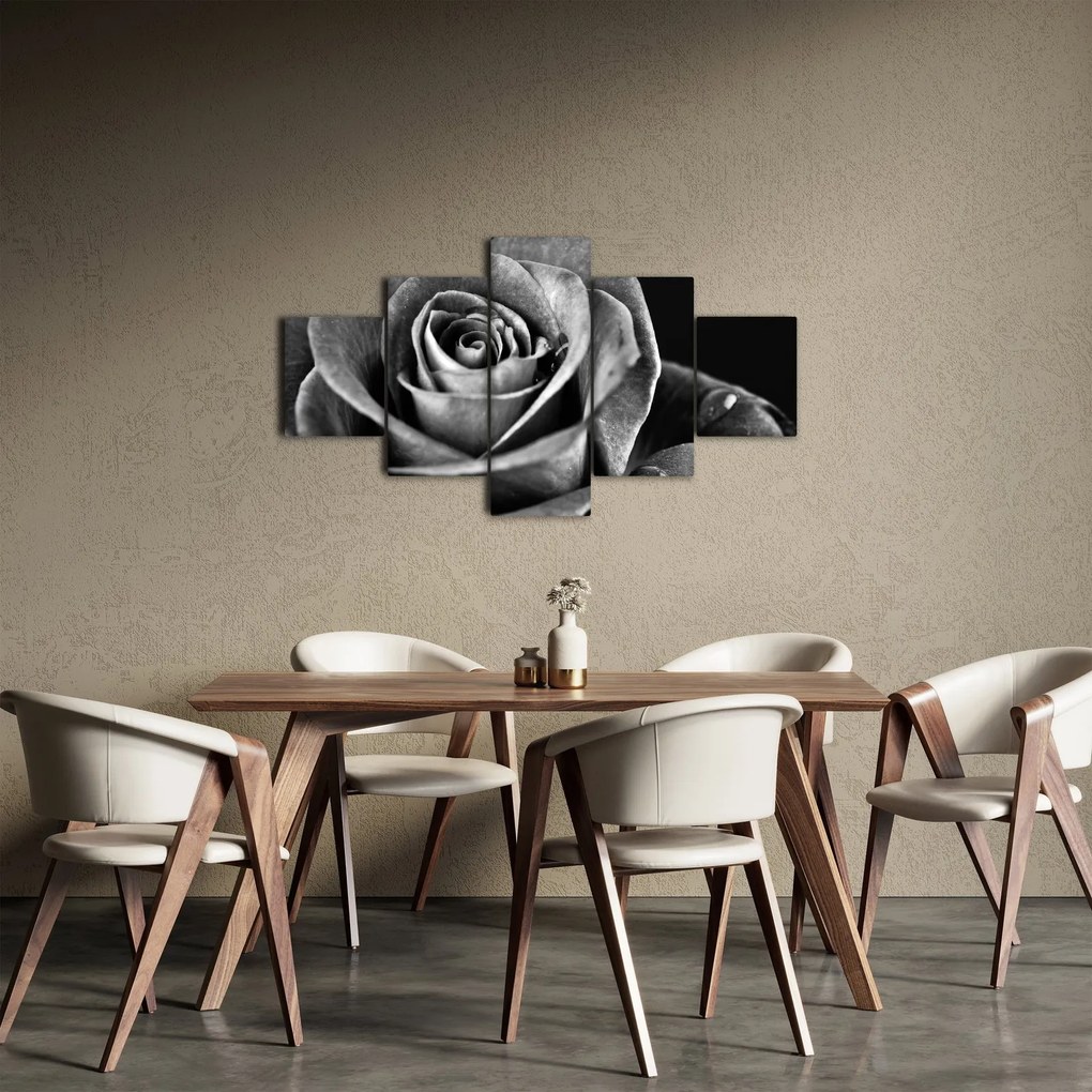 Obraz - Róża, czarno - biały (125x70 cm)