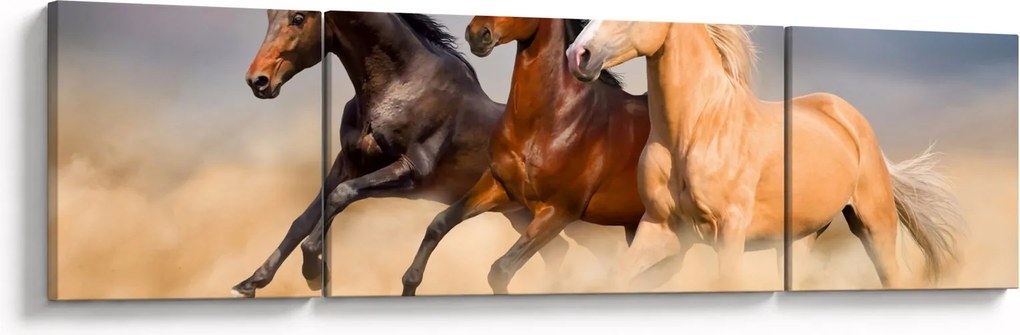 Obraz - Dzikie konie (170x50 cm)