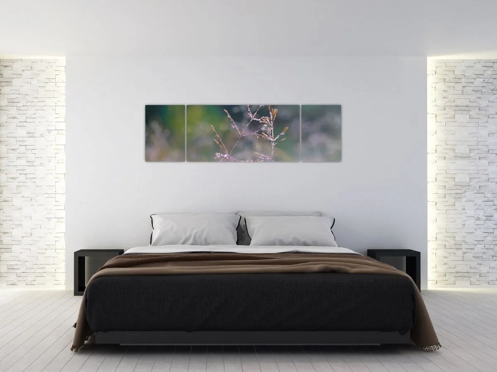 Obraz - Szczegół trawy (170x50 cm)