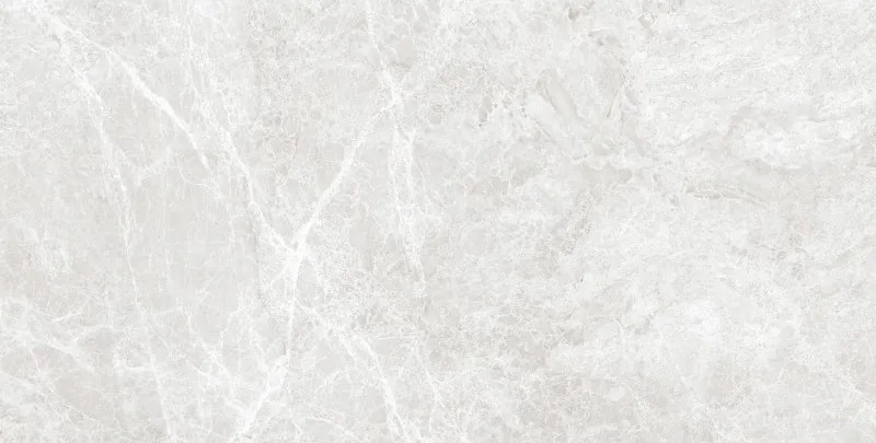 Mexen Lizard Silver gres szkliwiony rekt. G1, płytka podłogowo-ścienna 120 x 60 cm, połysk - TL109-120-060-03