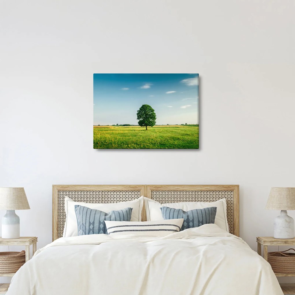 Obraz drzewa na łące (70x50 cm)