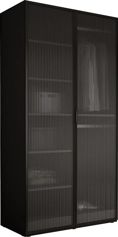 Szafka: Grafitowa czerń / Szkło ryflowane, 100 x 200 x 51 cm