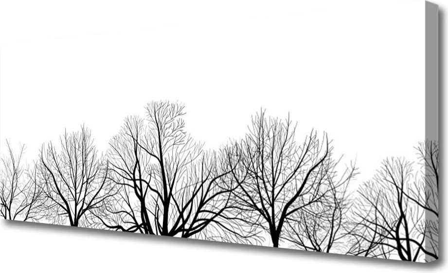 Obraz canvas Majestatyczne Drzewa w Lesie