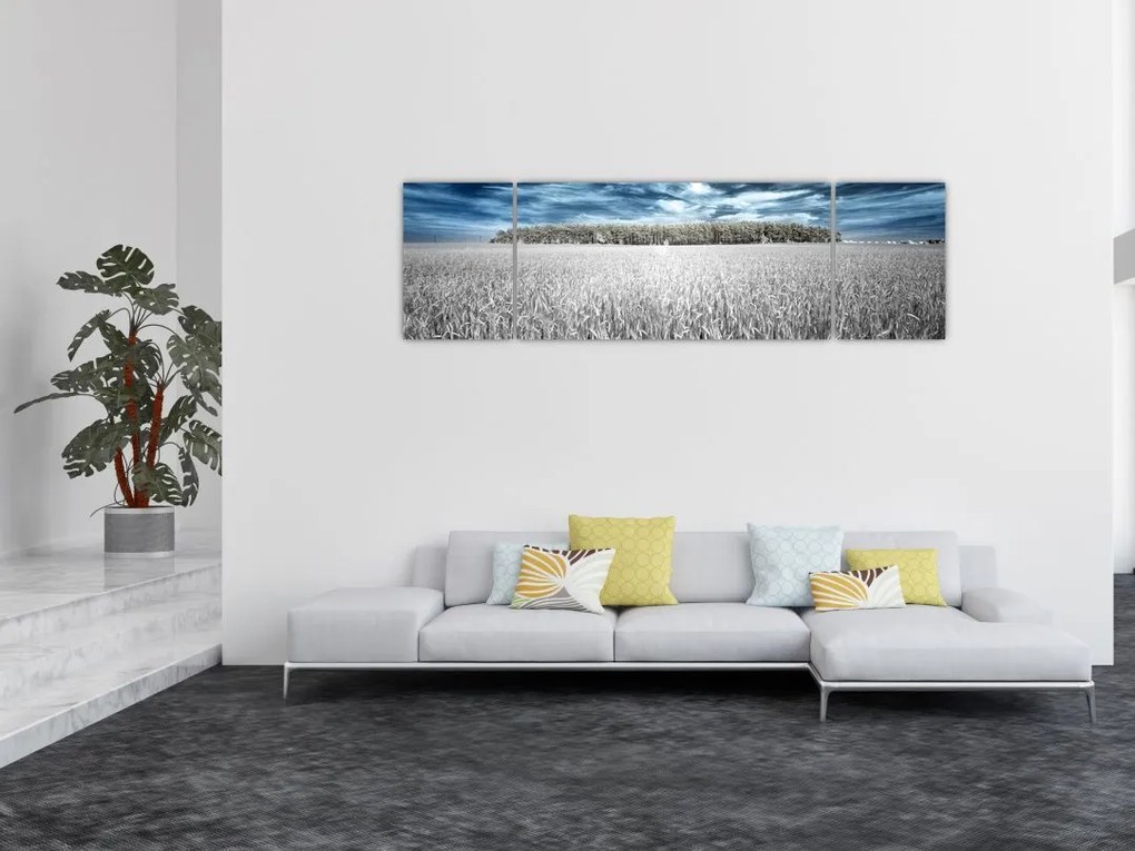 Obraz pola (170x50 cm)