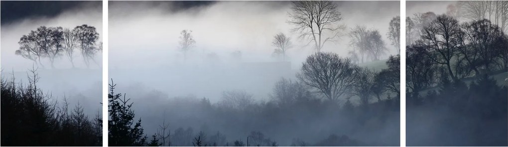 Obraz mgły nad lasem (170x50 cm)