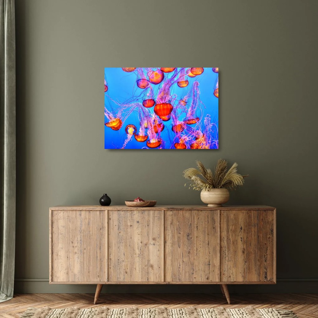 Obraz na szkle meduz w morzu (70x50 cm)