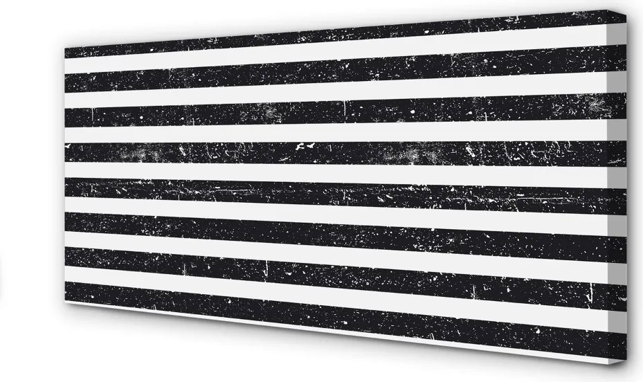 Obraz canvas na ścianę Motyw Zebry i Plam