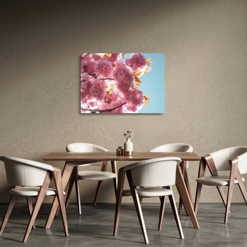 Obraz na szkle - Kwiat wiśni (70x50 cm)
