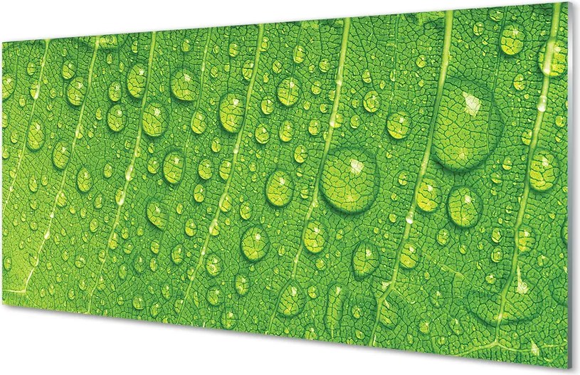 Szklany Panel Makro Detal Liścia z Rosą