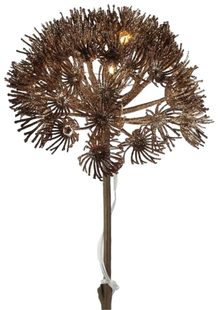 Oświetlenie LED gałązka dekoracyjna HERACLEUM 70 cm, brąz