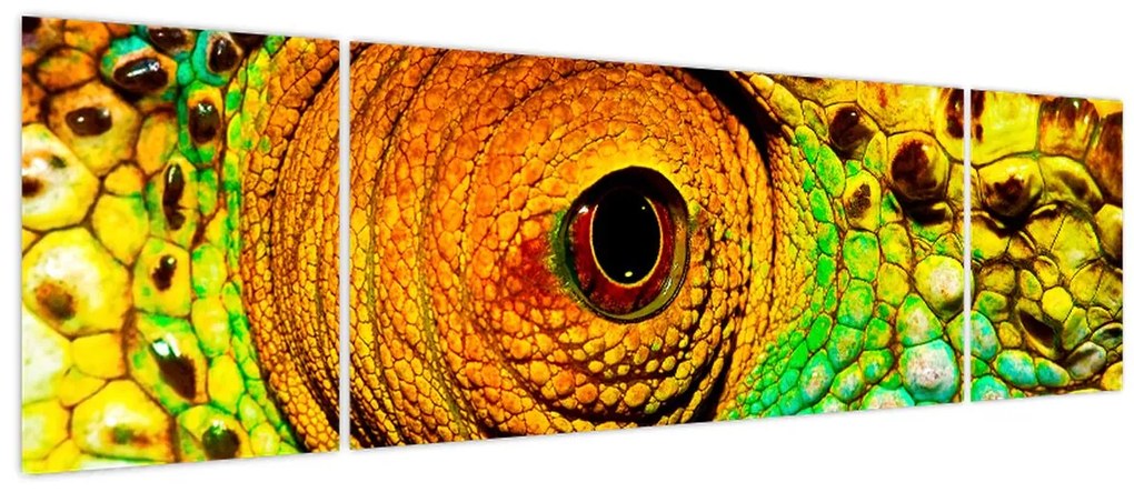 Obraz - Kameleon (170x50 cm)