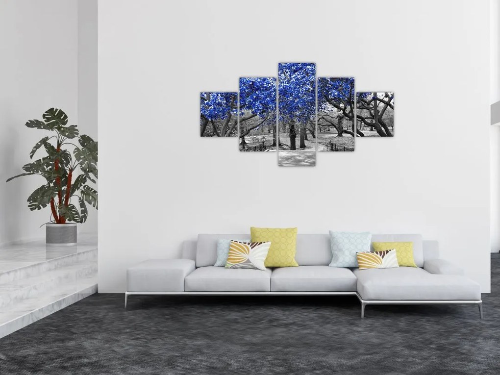 Obraz - Niebieskie drzewa, Central Park, New York (125x70 cm)