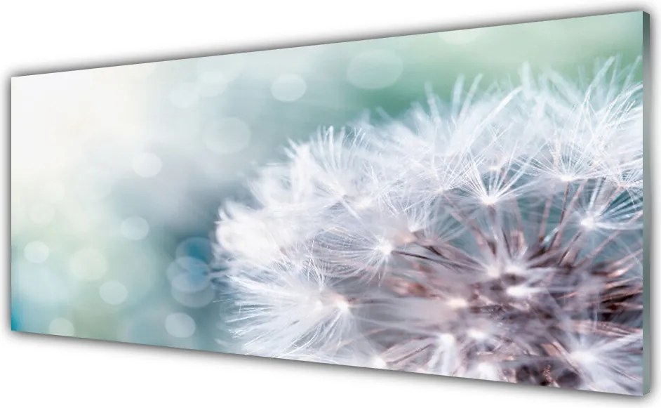 Szkło do Kuchni na Ścianę Puszysty Mniszek Lekarski