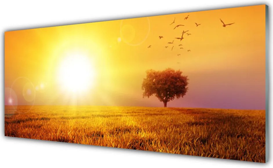 Panel Szklany Wieczorny Lot nad Łąką