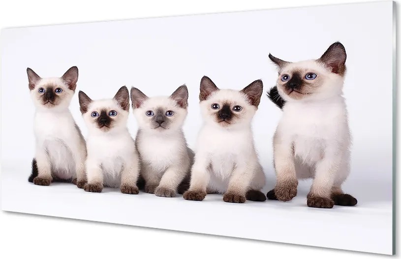 Panel szklany do Kuchni Grupa Uroczych Kociąt