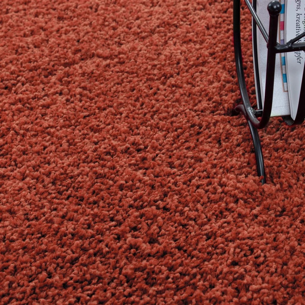 Dywan Shaggy Terra 80 cm x 250 cm