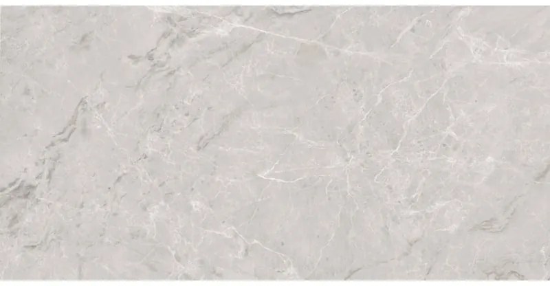 Mexen Versace Grey próbka gresu szkliwionego rekt. G1, płytka podłogowo-ścienna 120 x 60 cm, połysk - TL168-02-S