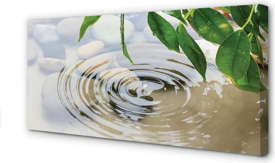 Duży obraz na płótnie Krystaliczny Plusk Wody