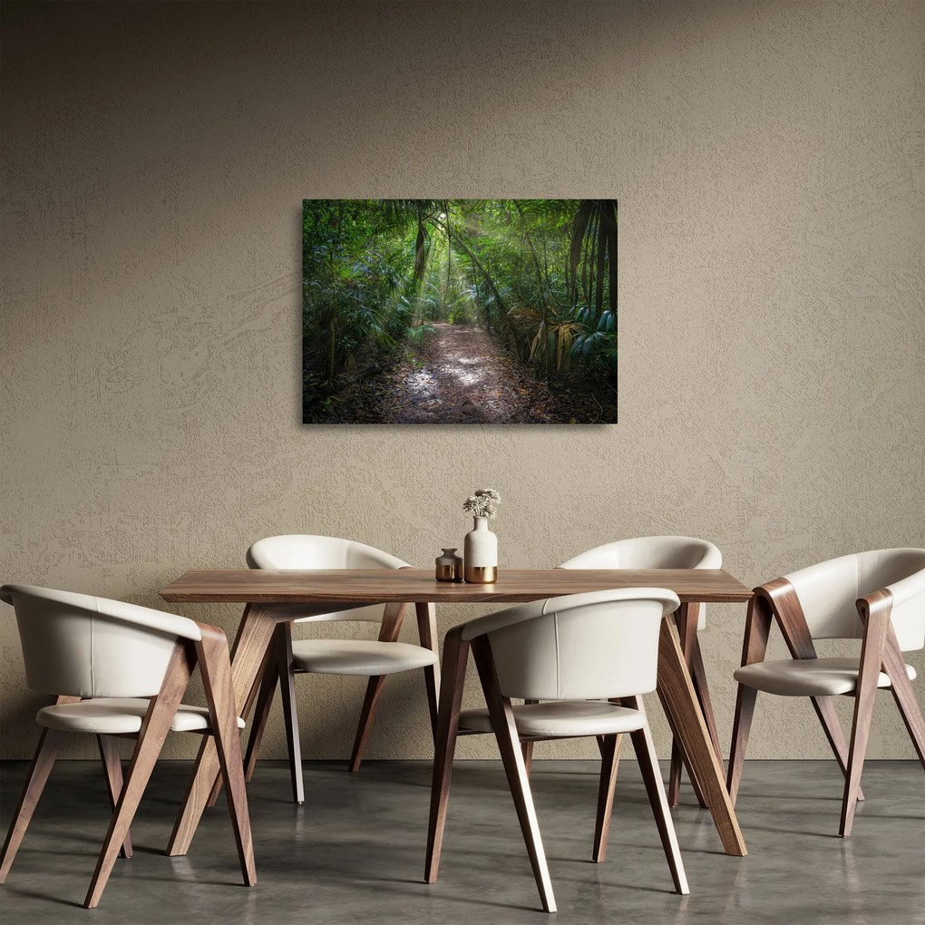 Obraz na szkle - Promienie słońca w dżungli (70x50 cm)