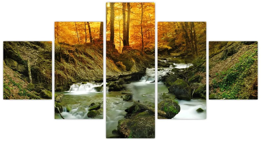 Obraz - Las (125x70 cm)