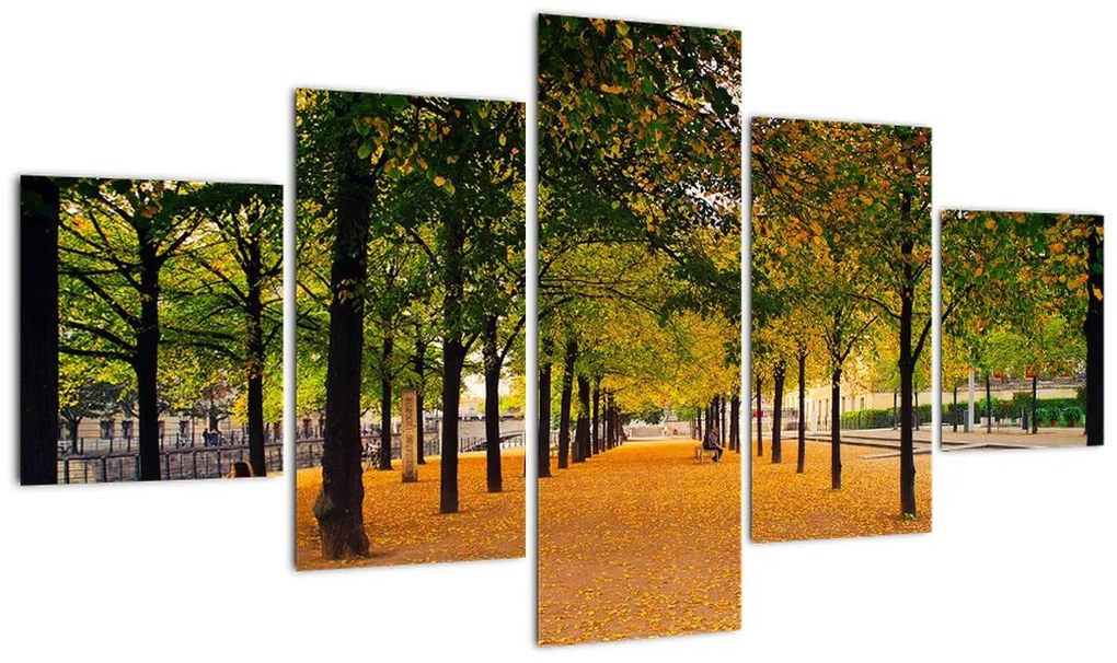Obraz alei jesiennych drzew (125x70 cm)