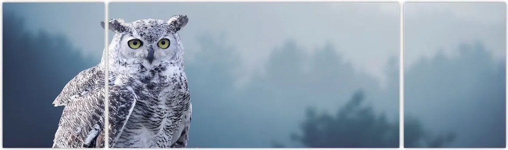 Obraz - Sowa śnieżna (170x50 cm)