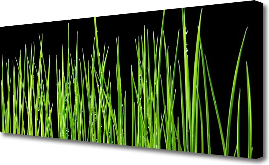 Fotoobraz na płótnie Naturalna Tekstura Trawy