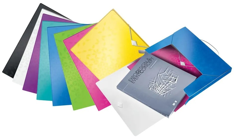 Plastikowy organizer na dokumenty WOW – Leitz