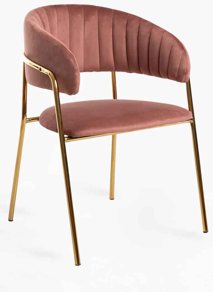 Krzeso Moniel Golden Velvet