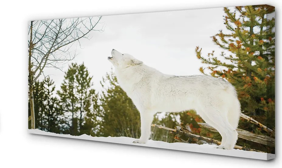 Obraz drukowany na płótnie Wilk w Zimowym Lesie
