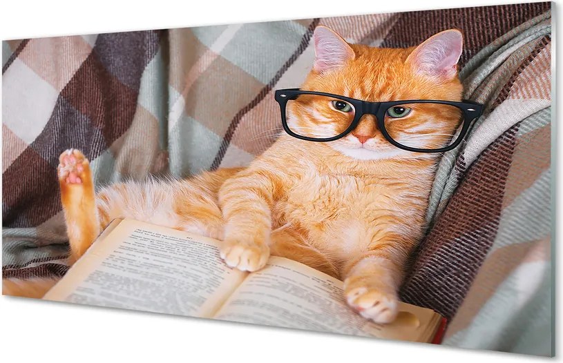 Panel Szklany Inteligentny Kot Bibliofil