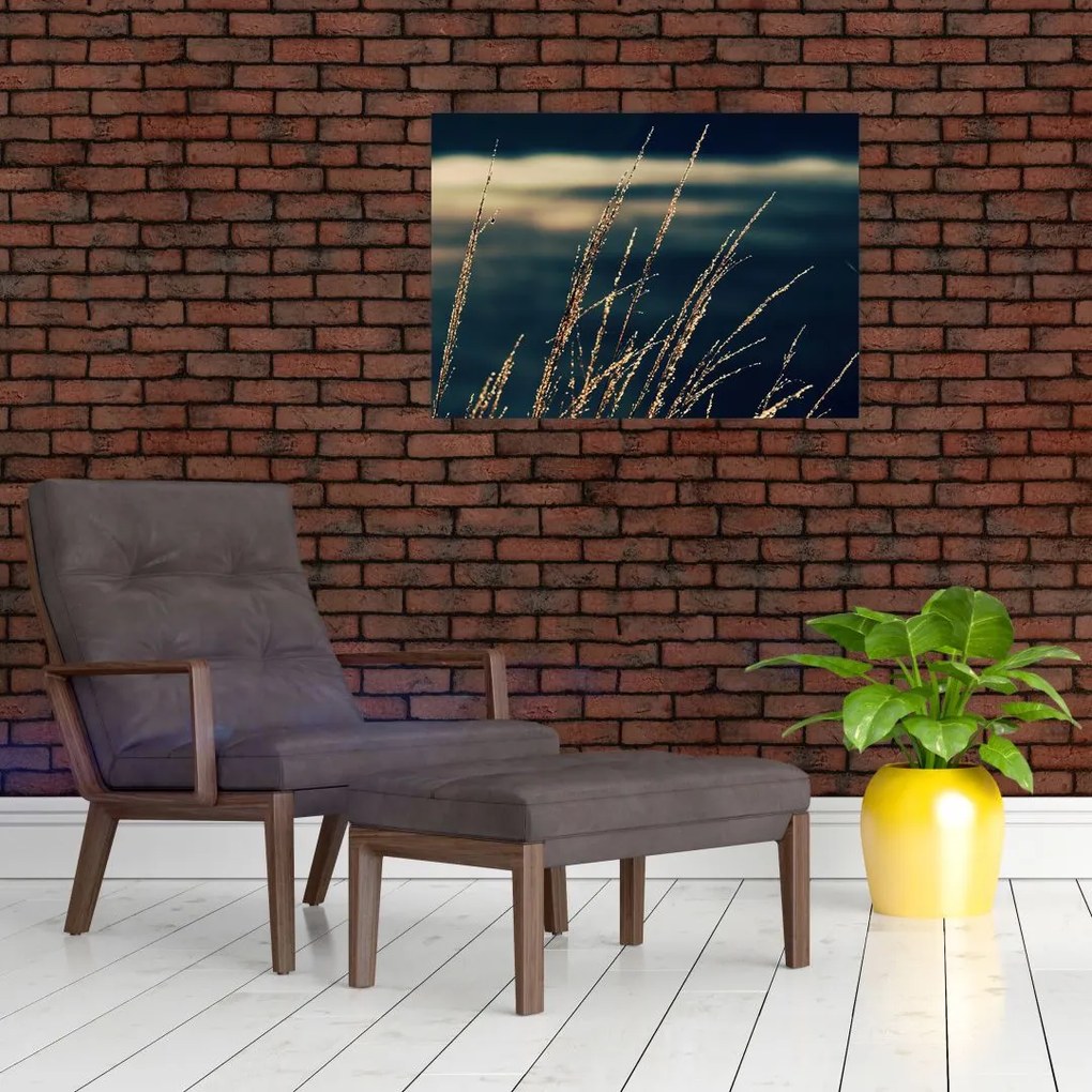 Obraz traw (70x50 cm)