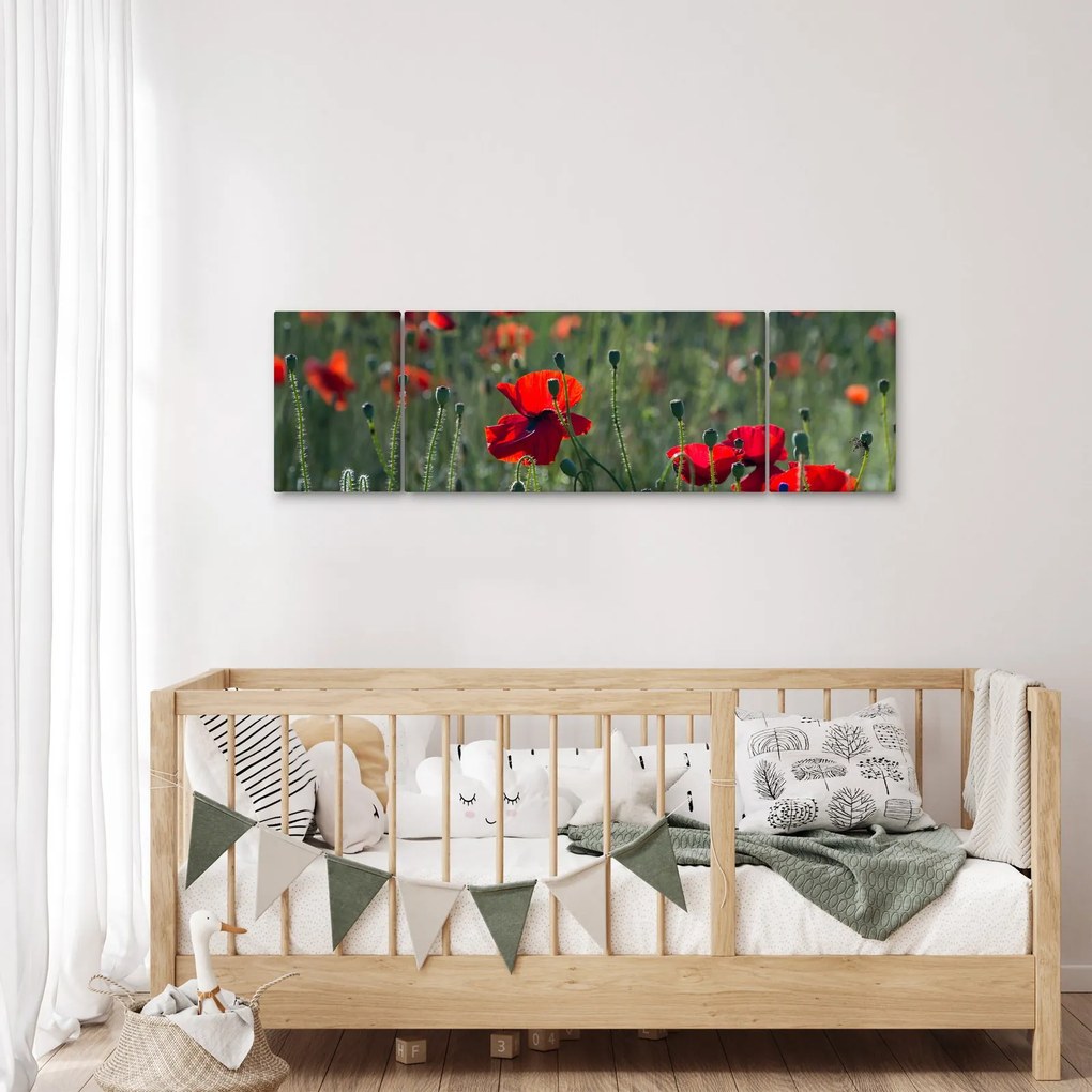 Obraz - Łąka z makami (170x50 cm)