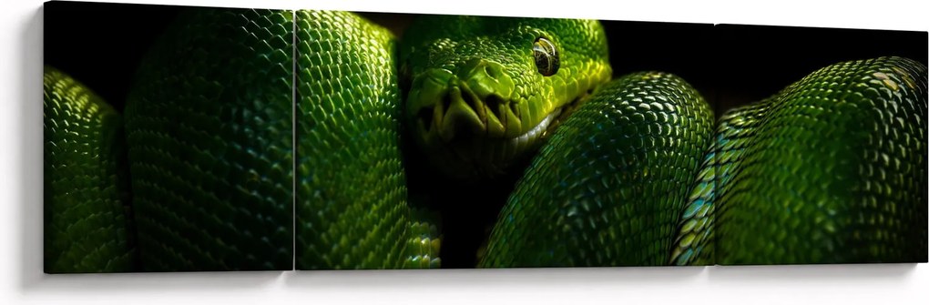 Obraz - Zielony wąż (170x50 cm)
